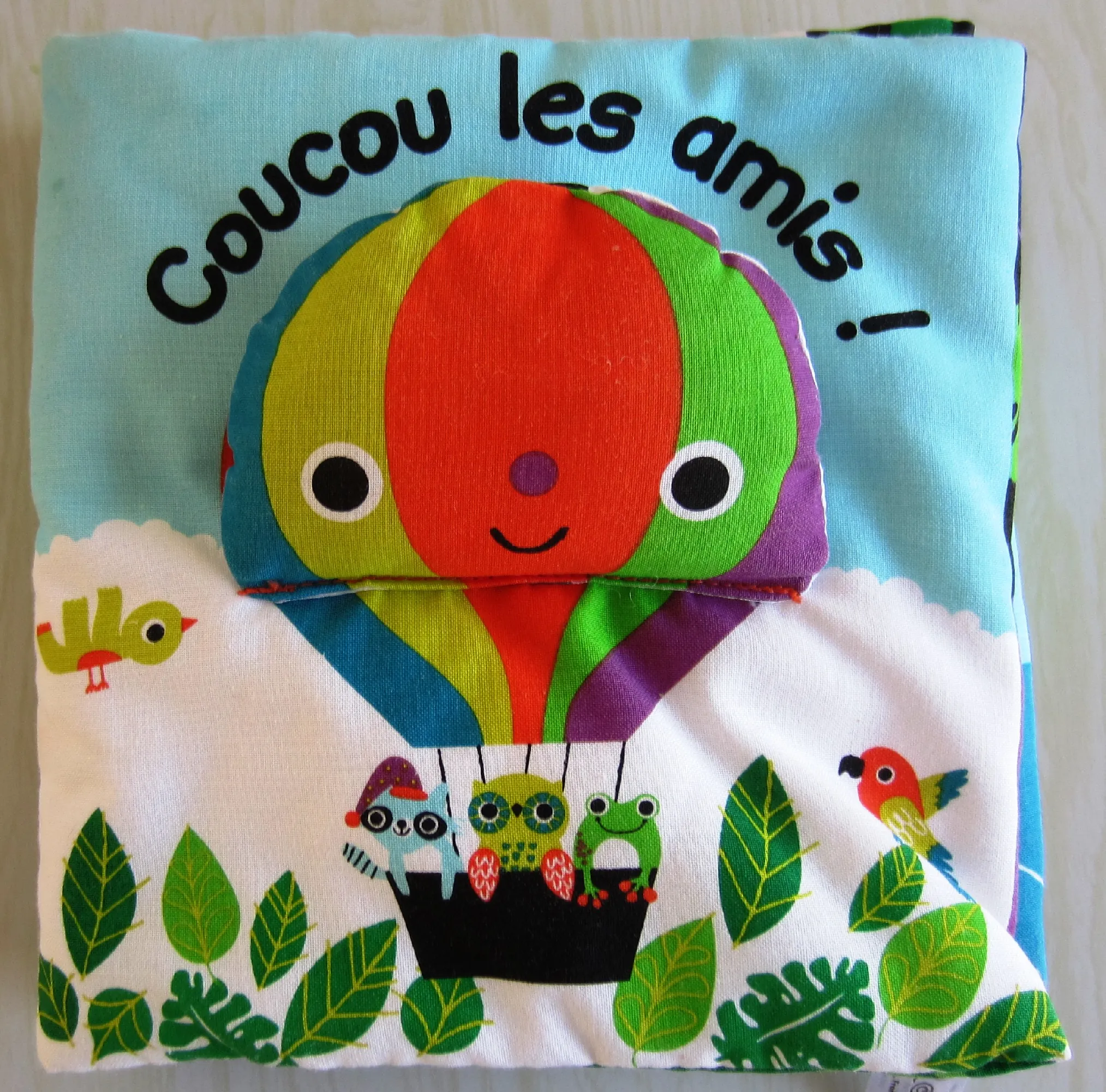 photo-livre-feutre-coucou-les-amies.webp