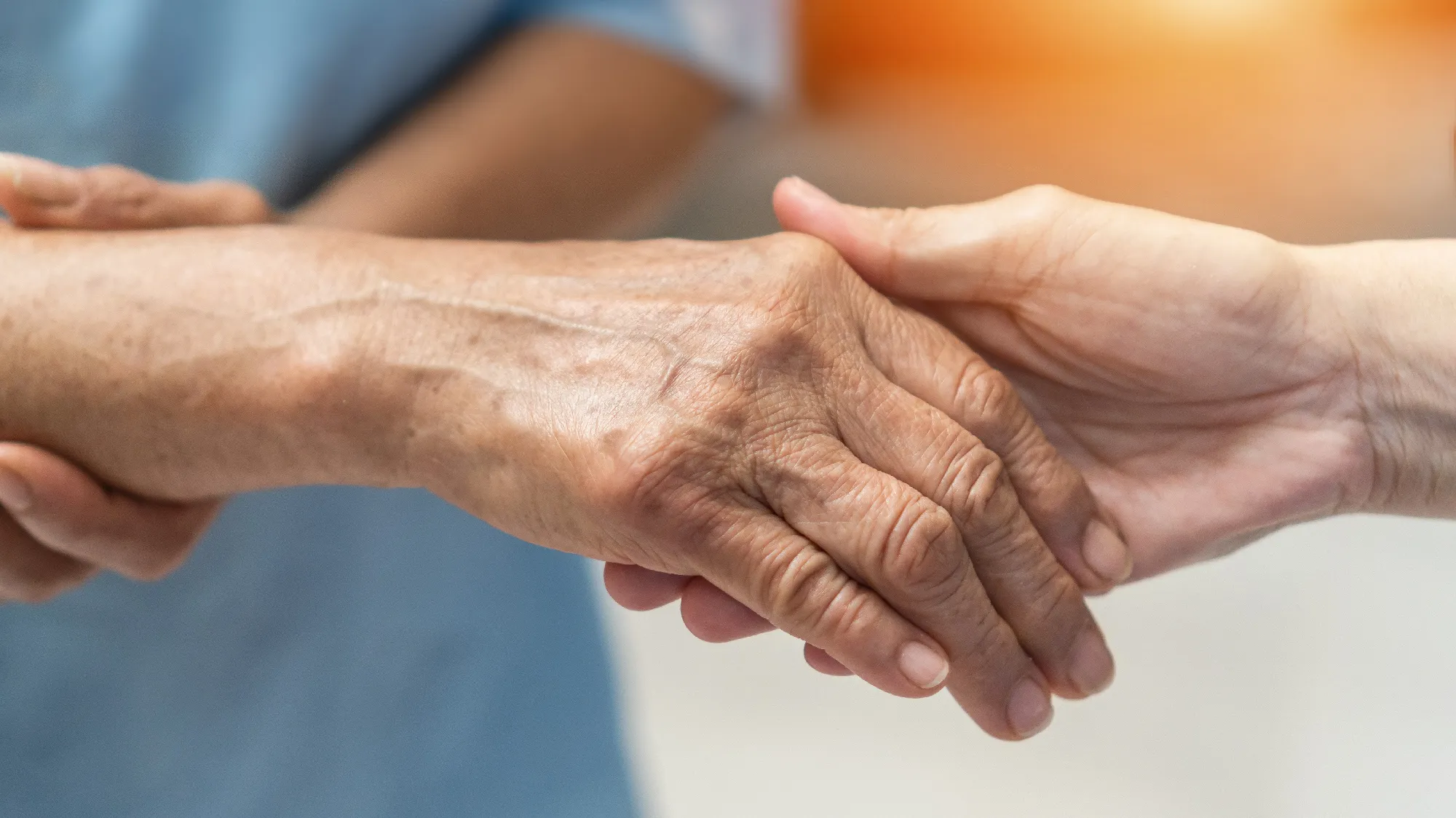 https://of.iperia.eu/media/shutterstock_1922957474.webp